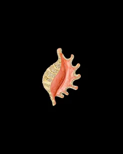 Brosche - Orange Shell