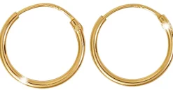 Creolen - Mini Goldies