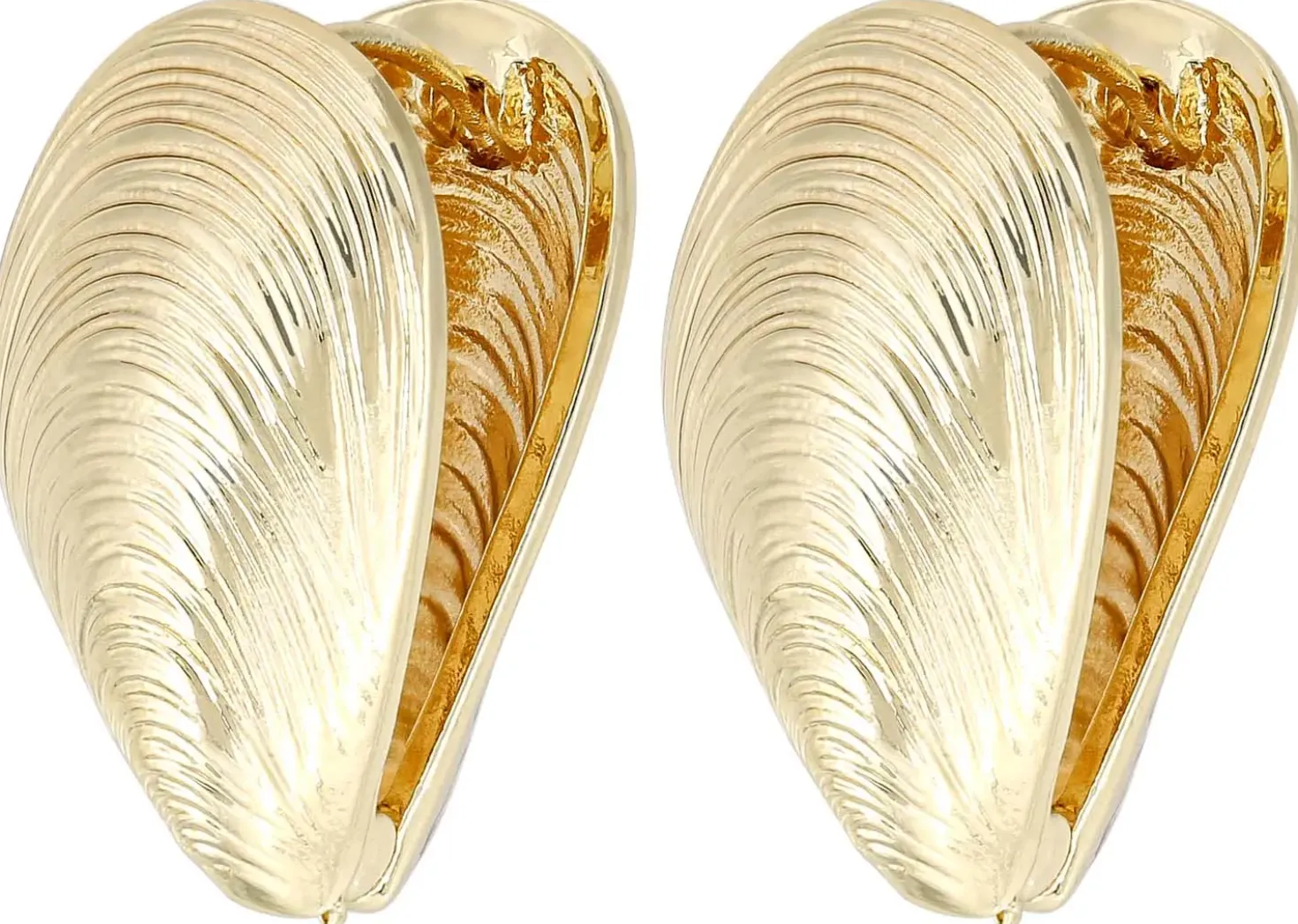 Creolen - Golden Shells