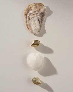 Creolen - Golden Shells