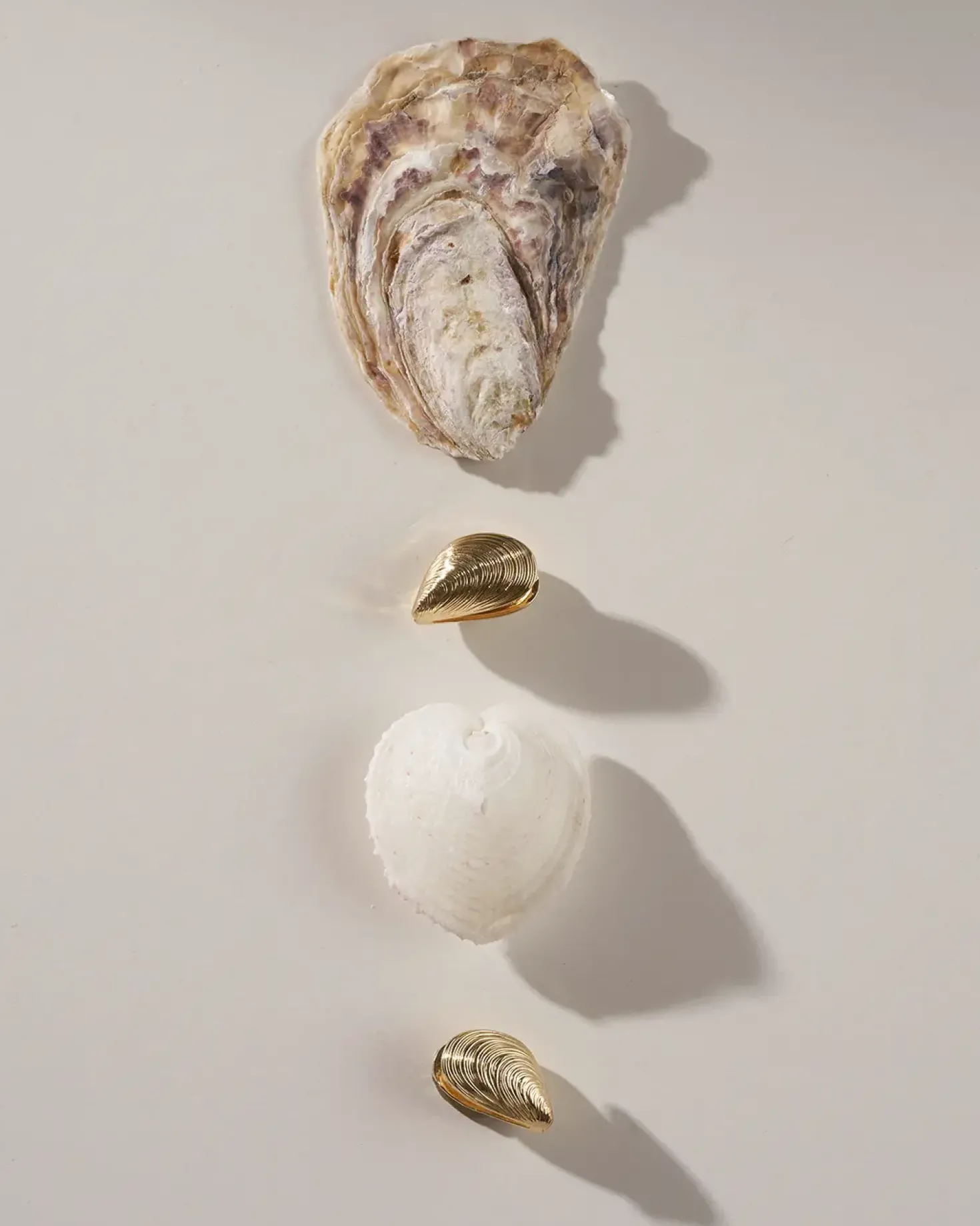 Creolen - Golden Shells