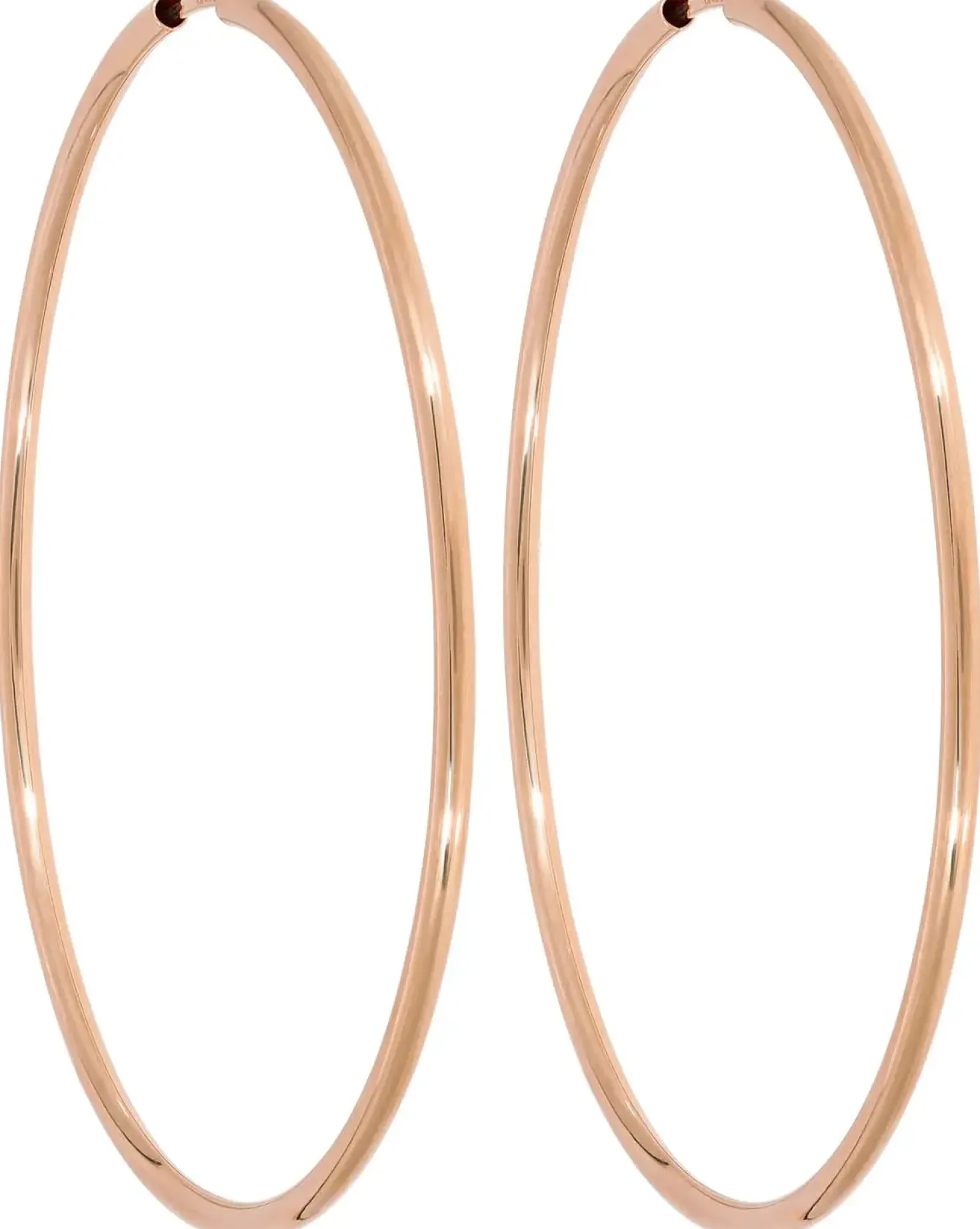 Creolen - Timeless Rosegold