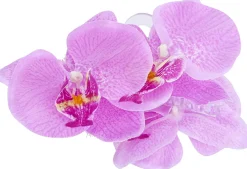 Haarklammer - Purple Orchid