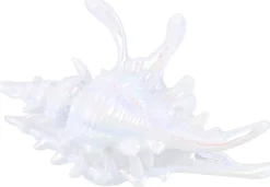 Haarklammer - White Conch