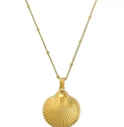 Kette - Elegant Shell