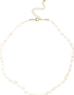 Kette - Real Shells