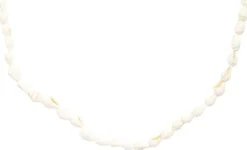 Kette - Real Shells