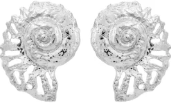 Ohrstecker - Silver Nautilus