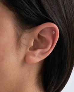 Piercing - Gleaming Heart